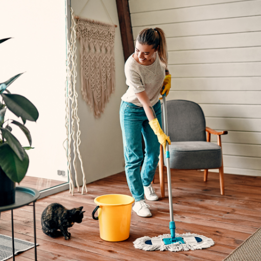 Reinigung Z&R Hauswartung