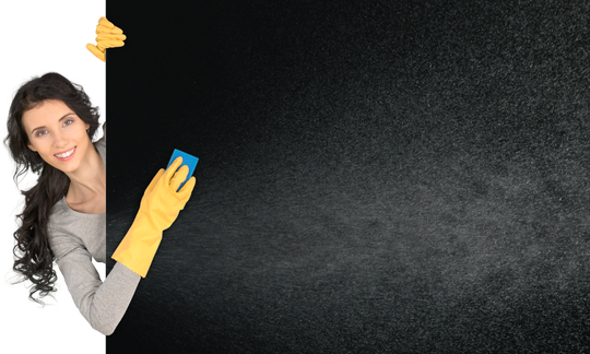 Reinigungs- und Gartenservice Z & R Hauswartung