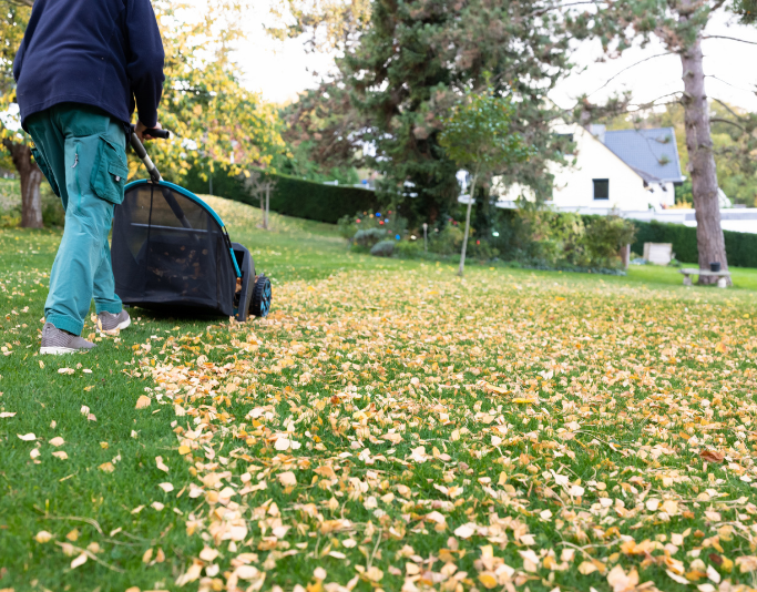 Laubentsorgung